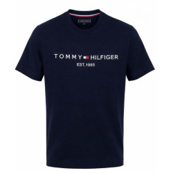 Core Tommy Logo Tee Blue